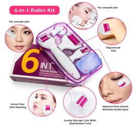 6in1 Microneedle Kit Titanium Micro naald gezichtsroller voor oogvlakte Bodybehandeling Gezichtsschoon borstel55088877