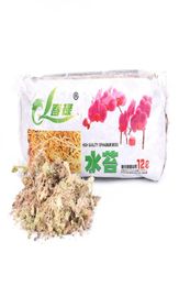 6L12L SPHAGNUM MOSS DRIP MOSS HYDUTRIZING Nutrition Organic Engrais pour orchidée Phalaenopsis Musgo Sphagnum5847538