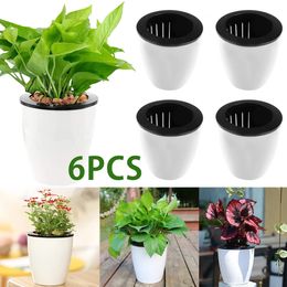 6pcs Pots d'arrosage auto avec corde de coton pour plantes intérieures 47 pouces arrosage de fleur de fleur jardin décoratif pp planteur 240409