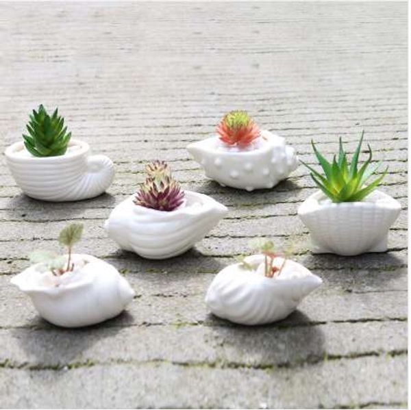 6 pièces/ensemble Mini blanc petit Pot de fleurs coquille forme céramique succulente porte-Pot fée jardin Cactus Pots de fleurs planteur