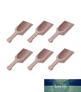 6pcs en bois mini scoops Coffee Scoops Assaisonnement Spices Milk Power for Kitchen Use4579028