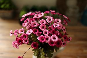 6stems / 24heads 5colors Vente En Gros Artificielle Helenium Rich Chrysanthème Fleur Fausse Soie Fleurs Bouquets Maison Jardin De Mariage Decorartion