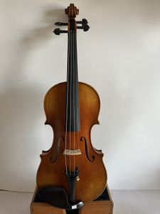 Modèle de violon de taille 7/8 STRADI FLAMÉ MABLE SAPPURIE TOP MAIN SCARVE K3954 00