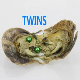 REDONDO 7-6MM Twins Pearl Akoya Oysters Akoya Oyster con perlas coloridas Joyas REGALOS Por envasado al vacío