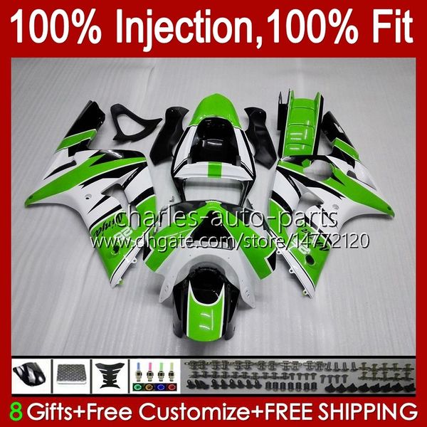 Carénages de moulage par injection pour KAWASAKI NINJA ZX-6R ZX-636 ZX 6R 600 CC 6 R ZX636 03-04 Carrosserie 8No.0 ZX 636 600CC ZX6R 03 04 ZX600C ZX600 2003 2004 OEM Bodys Factory Vert