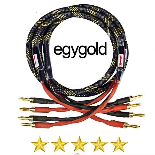 Serveur Egygold 7 lignes Cccam pour la turquie, la macédoine, les pays de l'ue, récepteur de télévision par Satellite Egygold DVB-S2 Stable et rapide, Test gratuit