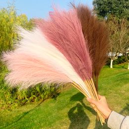 70/110cm Bulrush Pampas Grass Flower Artificial Plants Branch Pampas Grass Phragmites Fake Flower Wedding Party Home Decoratie