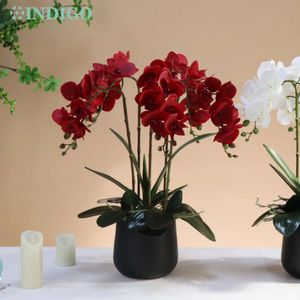 707890 cm Phalaenopsis Gedroogde motten Bloemen Red Orchids 3d Real Touch Bloemblaadjes Decoratie Wedding Butterfly Bloem Bloem Home Party Indigo 230613