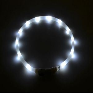 Colliers pour chiens 70 cm LED collier pour chien de compagnie Rechargeable USB réglable clignotant chat chiot sécurité dans la nuit convient à tous les Silicone