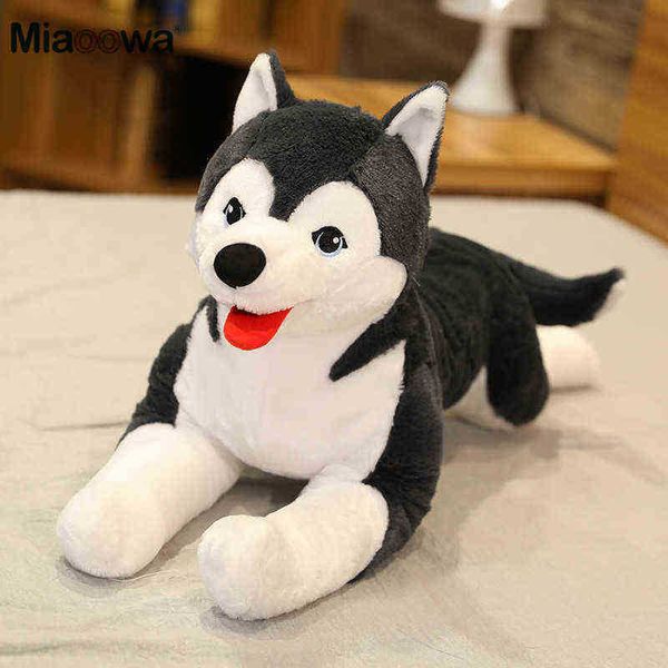 70 cm realista Husky perro abrazo simulación perro de peluche juguetes animales para ldren suave muñeca ldren niña hermoso regalo de cumpleaños J220729