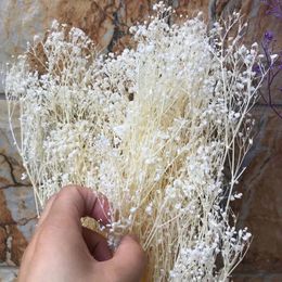 70g réel naturel frais pour toujours babysbreath séché préservé bébé souffle fleurs bricolage sec gypsophile bouquet de fleurs pour la décoration intérieure 240321