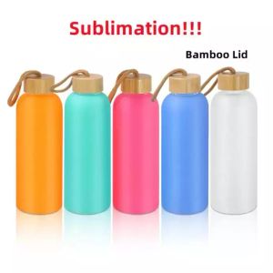 750 ml Sublimatie Frosted Fles Water Glazen Mok Mat Glas Sap Flessen met bamboe deksel Blank Tumbler Reizen Mokken Kleurrijke