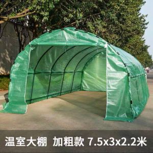 Greenhouse 750x300x220cm pour jardin Plant de fleurs de tomates extérieures Keep Couvre chauve