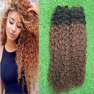 7A Ombre Virgin Hair Kinky Curly Virgin Hair 2 Bundles Deal Mongolian Kinky pelo rizado, mongol Afro Kinky rizado pelo de la Virgen