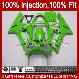 Injectie Mold Kit voor Kawasaki Ninja ZX-636 ZX600 ZX 6R 6 R 600 CC 03-04 Body 8NO.3 ZX 636 600CC ZX6R 03 04 ZX600C ZX636 ZX-6R 2003 2004 FACKING OEM Carrosserie Fabriek Groen