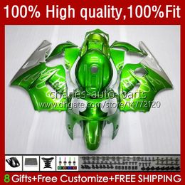 Injectie voor Kawasaki ZX1200 ZX 12R 1200cc Silvery Green ZX12R 02 03 04 05 06 52HC.21 ZX 12 R ZX-12R 2002 2003 2004 2005 2006 OEM-VALERINGEN