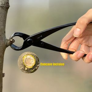 8,27 pouces de la branche d'élagage de l'élagage de la pince Bonsaï Tourne de cutter concave robuste