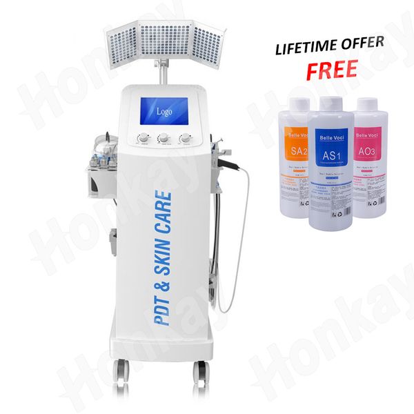 Machine professionnelle verticale de pelage de jet d'oxygène de rajeunissement du visage 8 en 1/machine à eau d'oxygène/visage à oxygène intraceutique pour le nettoyage de la peau