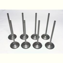 8 piezas de válvula de escape de entrada de cilindro de motor de coche SA00-12-111M1 SA00-12-121M1 para Haima 7 2010-2018 Haiima M8 V70