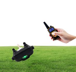 800yd Electric Remote Dog Training Training Collar étanche Affichage LCD rechargeable pour tous les bip Mode de vibration de choc bip Supplies pour animaux de compagnie 2236293
