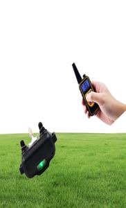 800yd Electric Remote Dog Training Training Collar étanche Affichage LCD rechargeable pour tous les bip Mode de vibration de choc bip Supplies PET9596171