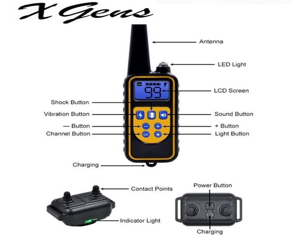 800yd Electric Remote Dog Training Training Collar étanche Affichage LCD rechargeable pour tous les moyens de vibration de choc bip 40off5416703