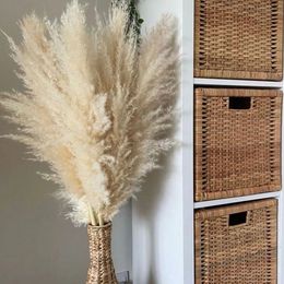 Sala de estar de 80 cm decoración de pampas grande hierba seca seca ramo esponjoso boho flores largas arco de boda 240103