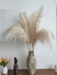 Nagaho – roseau naturel séché, 80cm, grand Bouquet d'herbe de la Pampa, décoration de cérémonie de mariage, décoration de maison moderne 19002862