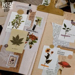 80Sheets / Pack Vintage Decorative Paper Nature Plant Plant Champignon Herbal Feu de feuille de feuille pour le journal Scrapbooking Diary Book Planner