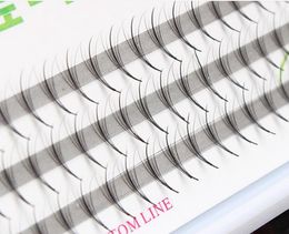 81012 mm Volume 5D Extensions de cils 005 mm épaisseur Hair Mink Strip pour cils individuels Fans de cils Fans Lash Natural Style7782465