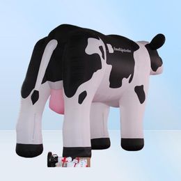 8101316 pieds ou vaches laitières hollandaises gonflables géantes personnalisées pour la publicité fabriquée en Chine7472160