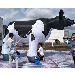 Longueur de 8 m (26 pieds) avec une usine d'usine Alimentation du lait gonflable Modèle animal de bétail laitier pour décoration de défilé / pâturage
