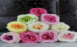 8pcs 45cm Fleur préservée Austin Rose Bud Head for Wedding Party Holiday Anniversaire Velentin039s Day Gift Favoris6686391