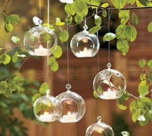 8pcs Ball Clear Srowing Globe Globe Shape Vase Vase Flower Plants Terrarium Vase Conteer Micro Landscape Modern Fashion5060123