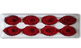 8pcsbox haute qualité fleurs préservées fleur immortelle Rose 5cm diamètre cadeau de fête des mères vie éternelle fleur matériel boîte 5131052