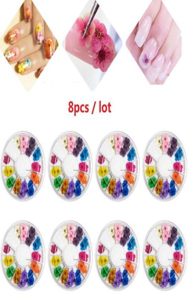 Juego de 8 pegatinas para uñas, rueda de 12 colores, flores secas reales para Gel UV 3D, puntas postizas acrílicas, Nail Art Salon4510557