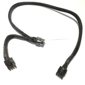 8Pin à carte mère PCI-E carte vidéo graphique GPU 2 ports 8p 6pin + 2pin câble de prise de courant pour EVGA G + G2 G3 P2 T2 GS Module d'alimentation