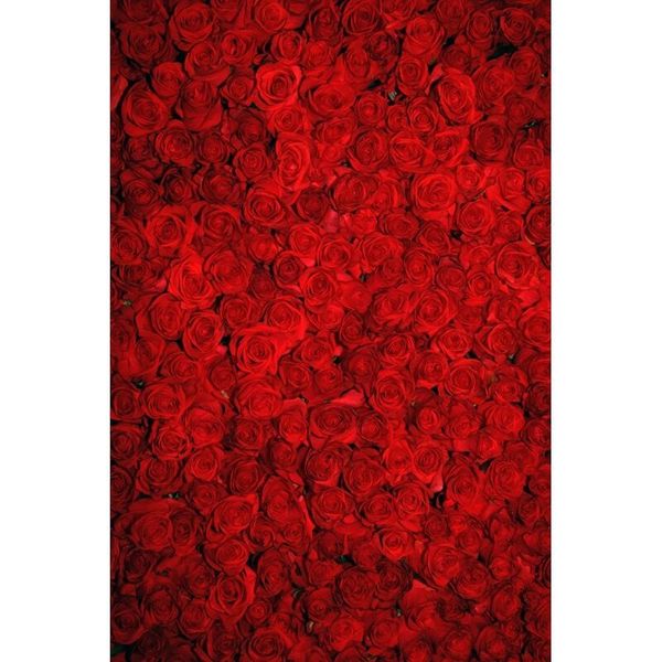 Fondos de fotos de rosas rojas de 8x10 pies Fondo de pared de flores románticas Fondo de estudio de boda Fondo de fotografía de San Valentín Fondos de fotografía