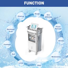 Machine multifonction 9 en 1 à jet d'oxygène et d'eau de diamant pour le visage, hydra dermabrasion/aqua peel spa