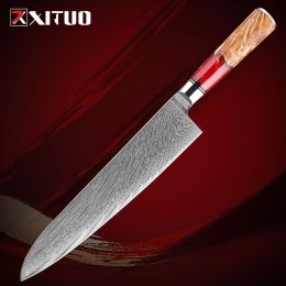 9 inch Damascus Chef Knife Pro Sharp Keukenmes met rode hars gestabiliseerd houten handvat Damascus kookmes Japans VG10 staal