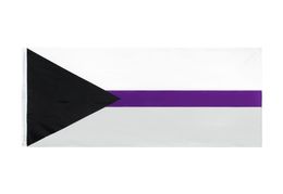 90x150cm drapeaux LGBTQIA Ace communauté Demi asexualité fierté asexuelle demisexuelle Flag5713335