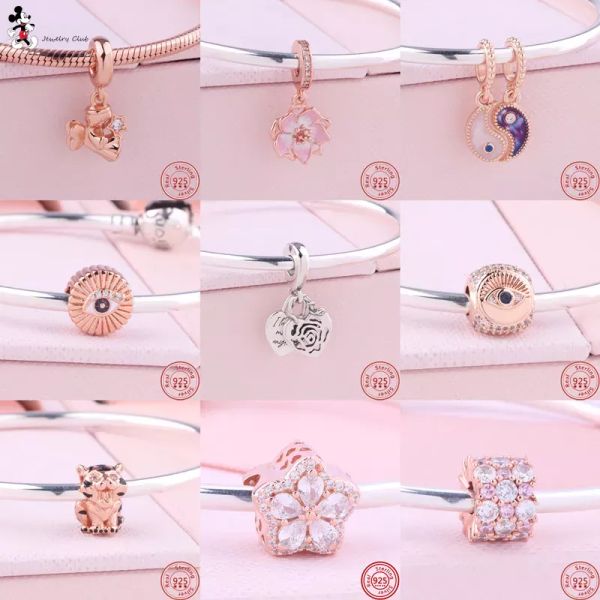 925 Silver Fit Pandora Charm 925 Bracelet Chinese Fortune Pixiu Tiger All-Seeing Eye charms Pour pandora charm 925 perles en argent breloques