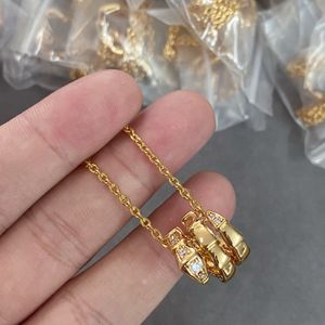 Klassieke designer slangen kettingontwerpers luxe sieraden hanger ketting verguld met 18k gouden slangvormige diamanten hanger kettingen voor vrouwen
