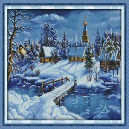 Een wereld van ijs en sneeuw kamer decor schilderij Handgemaakte kruissteek borduren handwerken sets geteld print op canvas DMC 14CT 112349
