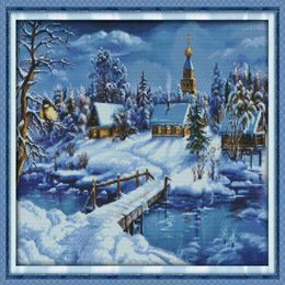 Een wereld van ijs en sneeuw kamer decor schilderij Handgemaakte kruissteek borduren handwerken sets geteld print op canvas DMC 14CT 11238u