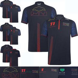 A1bh heren Polo's Nieuw F1 Racing Team T-shirt Polo Shirt Summer Formule 1 Heren Korte mouw T-shirts Driver dezelfde ventilator T-shirt Quick Dry Top aanpasbaar