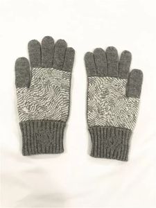 AA Hiver Pour Garder Au Chaud Chapeaux Écharpes Gants Ensemble Designer Hommes Bonnet Écharpe Gant Ensemble Chapeau De Luxe Bonnets Tricotés Ski Écharpe Masque Unisexe Hivers Ensembles De Mode En Plein Air