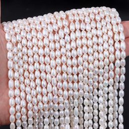 AAA Wit 100 Natural Pearl Beads zoetwater rijst vorm los voor sieraden maken DIY armband ketting accessoires 231221