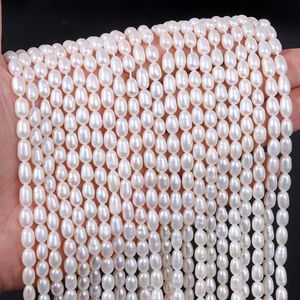AAA White 100 Perles de perle naturelle Forme de riz en eau fraîche lâche pour les bijoux faisant des bracelettes de bricolage Accessoires 231221