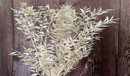 Ongeveer 35 g 3045 cm decoratieve gedroogde bloemen geconserveerde ruscusbladeren boeket geluksbamboe doe-het-zelf bloemendecoratie voor thuis bruiloft 219499835